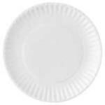 Paper Picnic Plates - 9