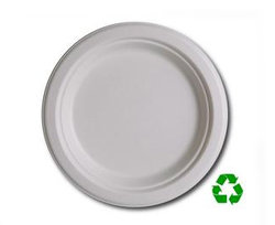 Eco Friendly 6 Biodegradable Plates (50 Count)