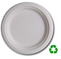 Eco Friendly 9 Biodegradable Plates (50 Count)