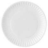 Paper Picnic Plates - 9 - 100 Count