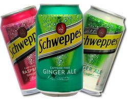 Schweppes & Diet Ginger Ale (12 Packs)